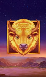 Buffalo's Sun 2